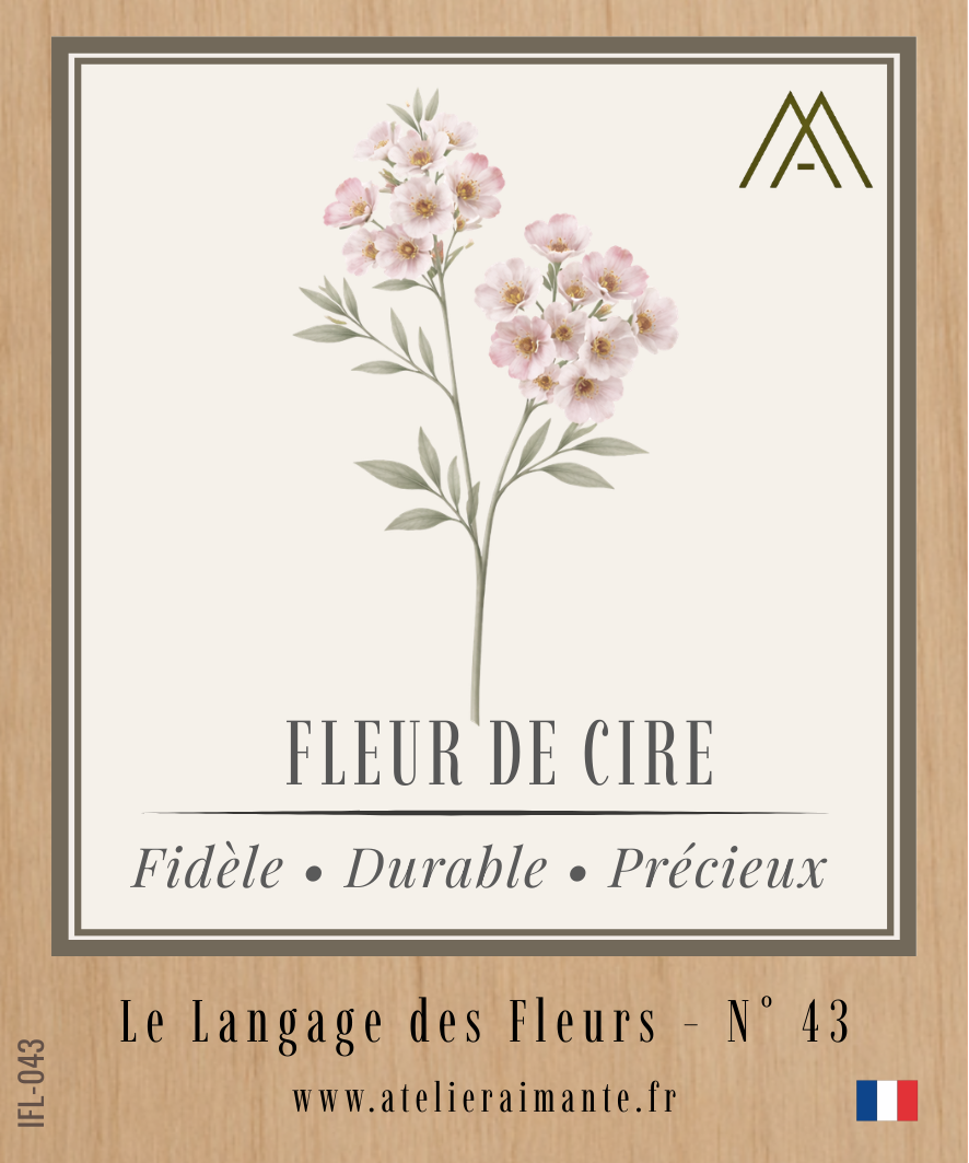 Magnet Instant FLEUR - Fleur de Cire - N°43