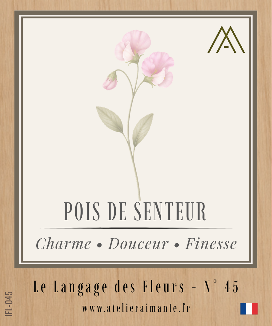 Magnet Instant FLEUR - Pois de Senteur - N°45