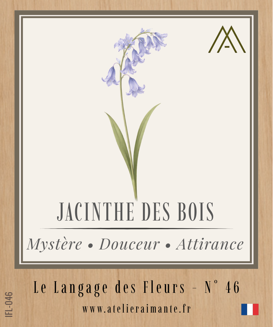 Magnet Instant FLEUR - Jacinthe des Bois - N°46