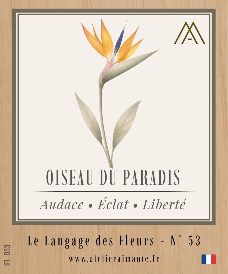 Magnet Instant FLEUR - Oiseau du Paradis - N°53