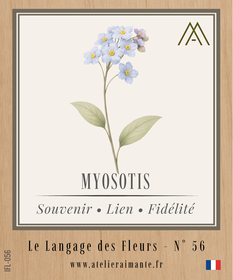 Magnet Instant FLEUR - Myosotis - N°56