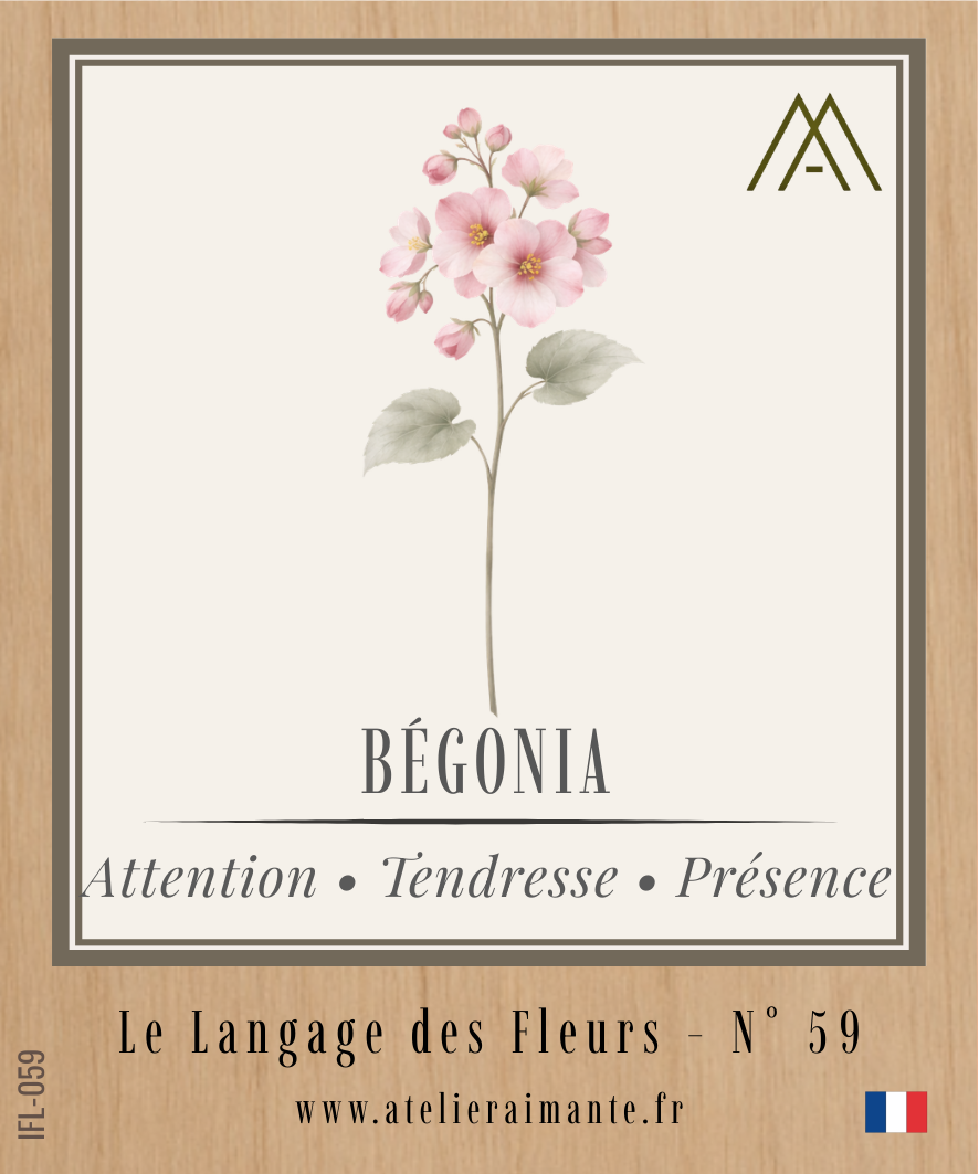 Magnet Instant FLEUR - Bégonia - N°59