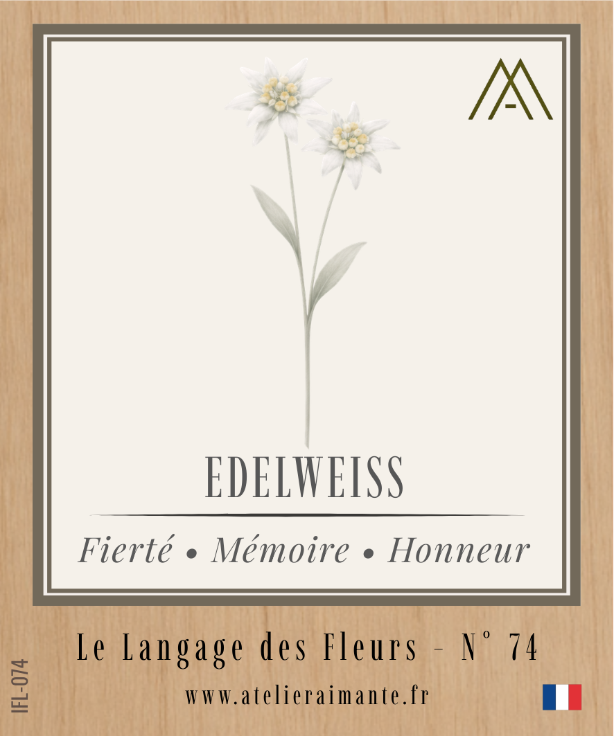 Magnet Instant FLEUR - Edelweiss - N°74
