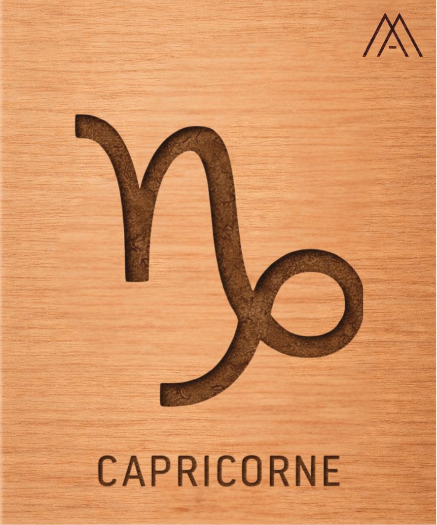 Capricorne - Instant Zodiaque