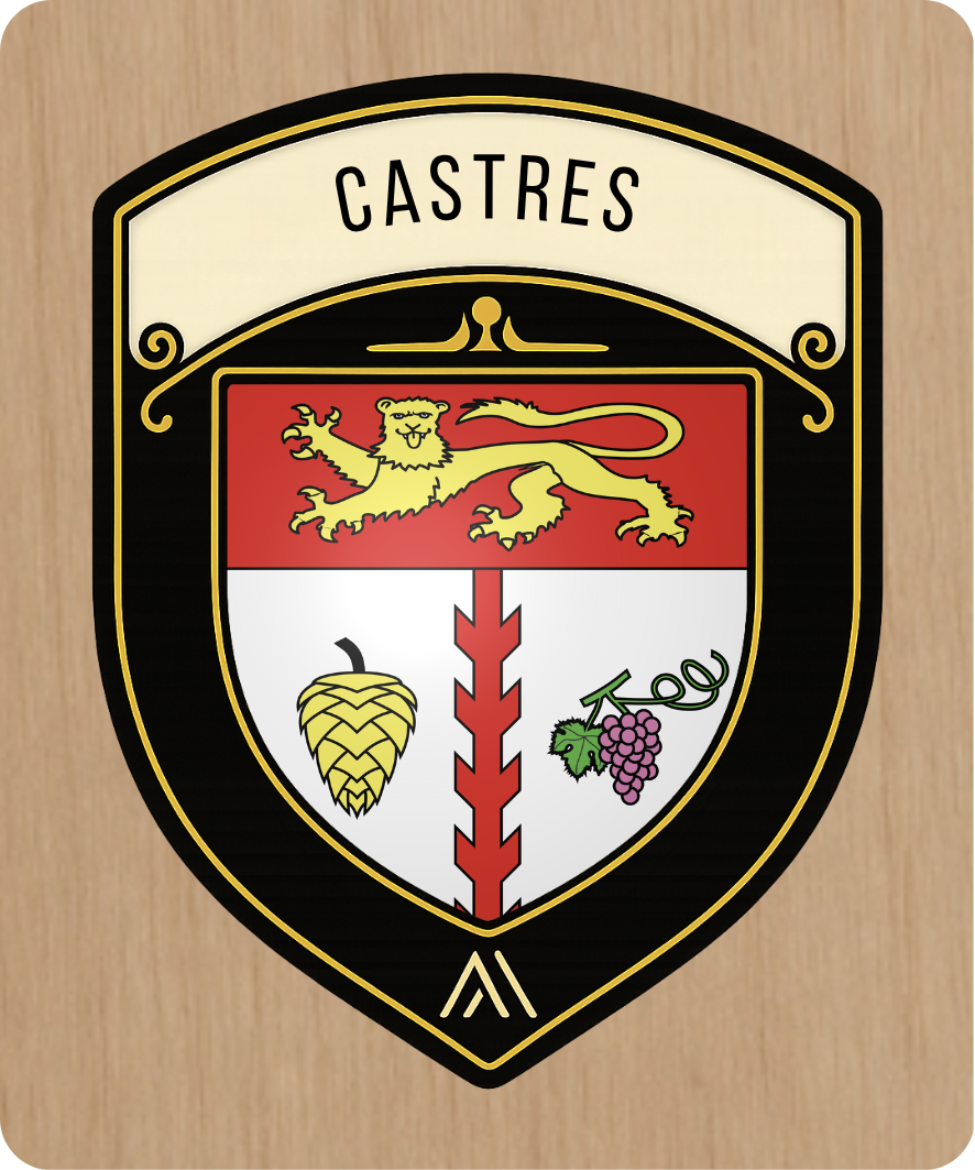 Castres - Instant Blason - N°11
