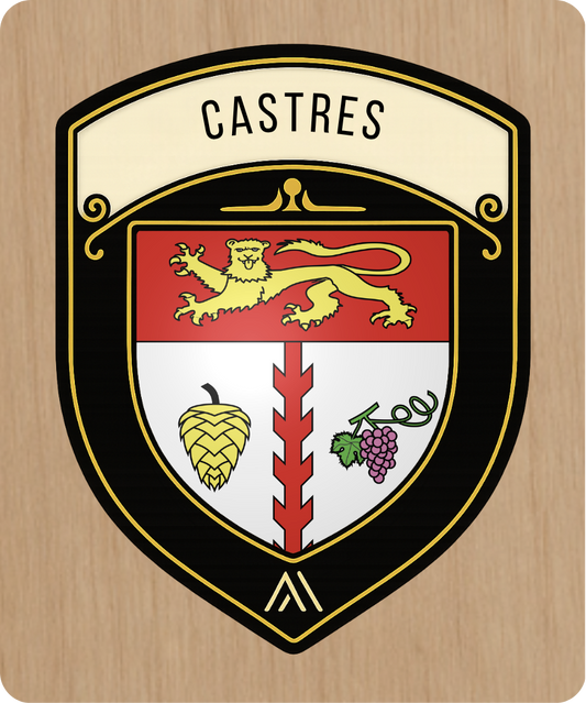 Castres - Instant Blason - N°11