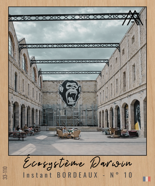 Instant BORDEAUX – Écosystème Darwin - N°10