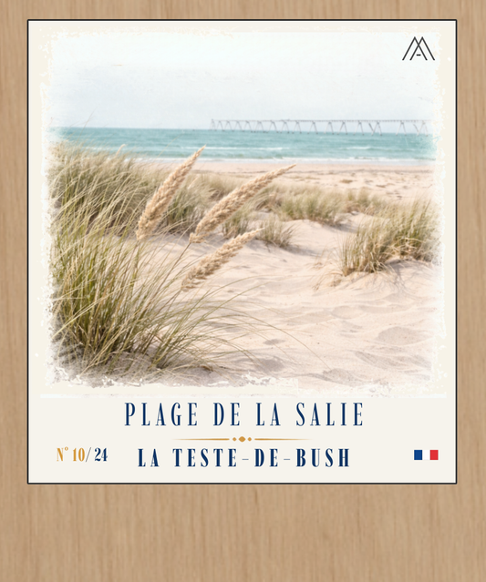 Plage de la Salie - Instant Bassin d'Arcachon - N°10