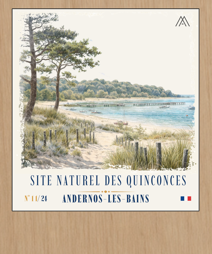 Site Naturel des Quinconces- Instant Bassin d'Arcachon - N°11