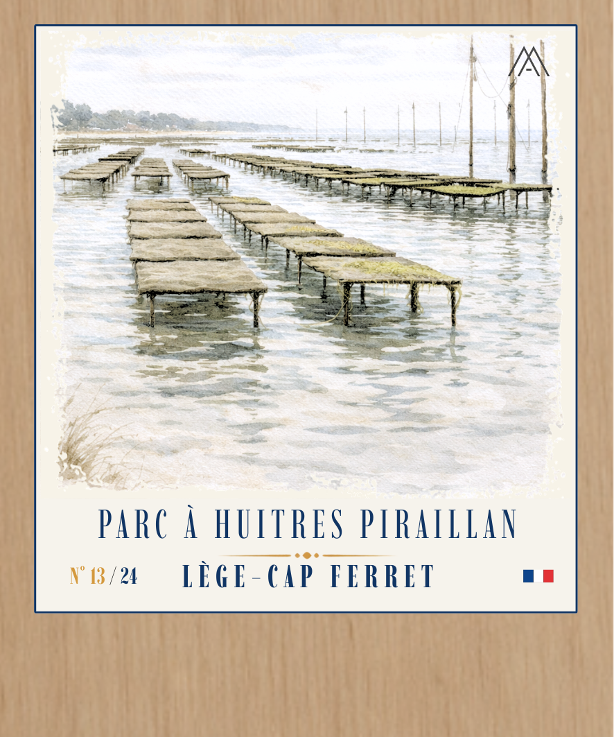 Plage du Four - Instant Bassin d'Arcachon - N°13