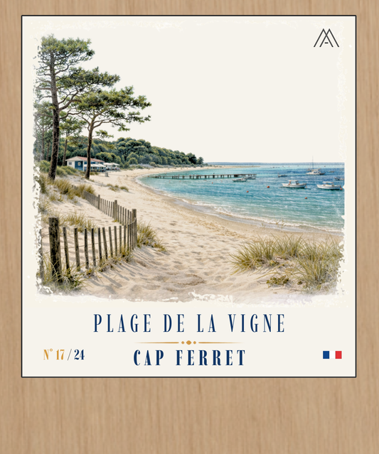 Plage de la Vigne - Instant Bassin d'Arcachon - N°17