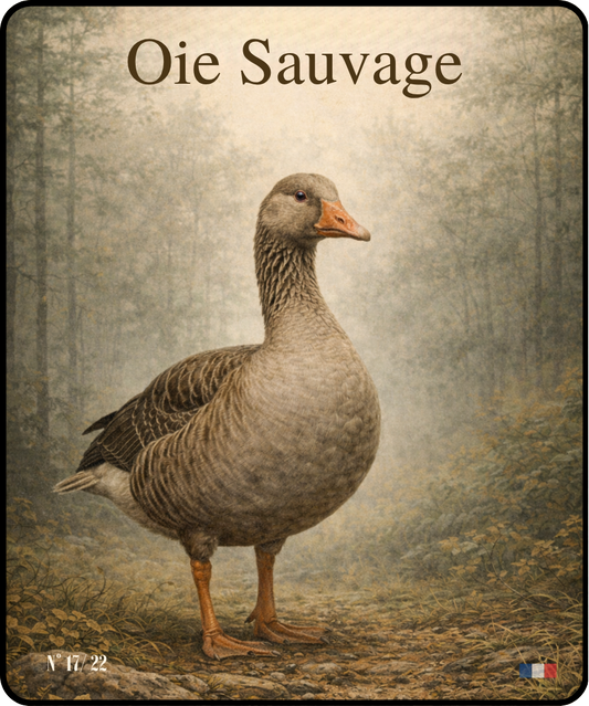 Oie Sauvage - Instant Chasse - N°17