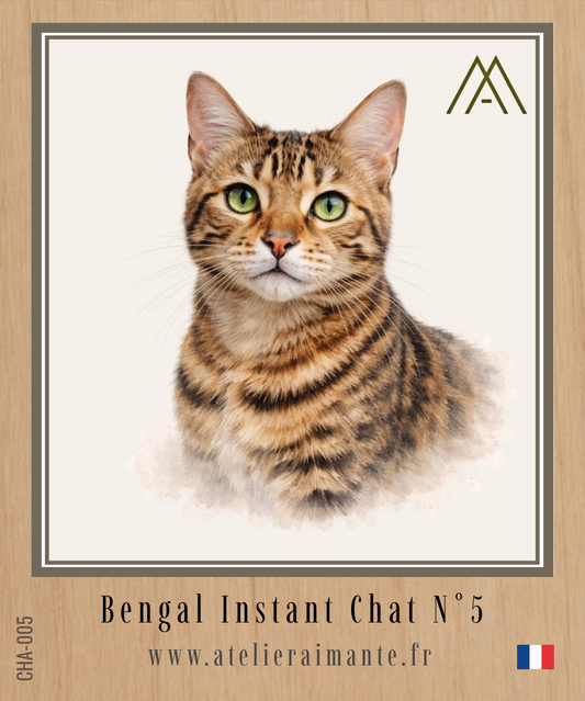 Bengal - Chat - N° 5