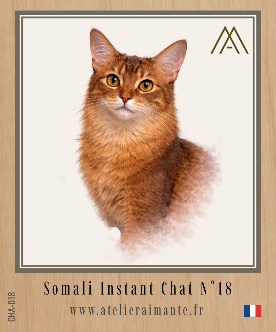 Somali - Chat - N° 18