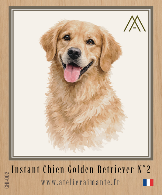 Golden Retriever - Instant Chien - N°2