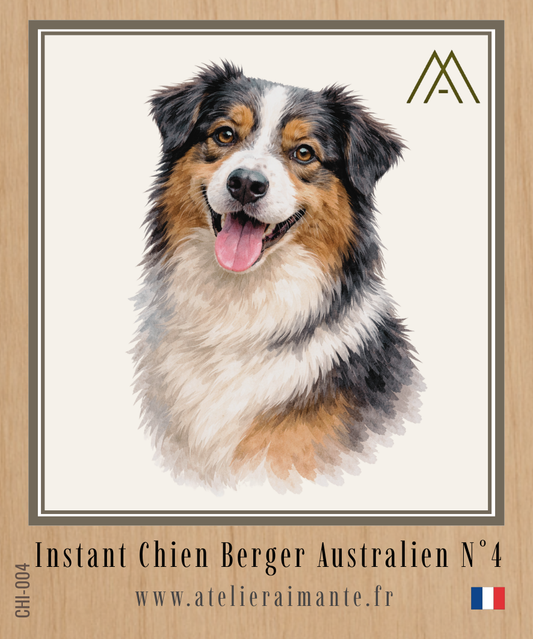 Berger Australien - Instant Chien - N°4
