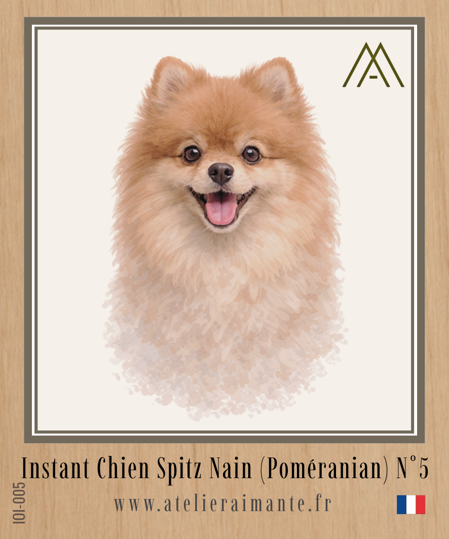 Spitz Nain - Instant Chien - N°5