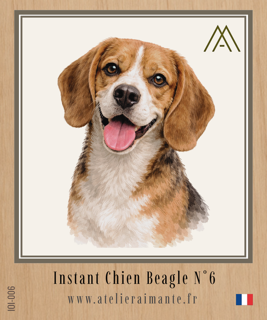 Beagle - Instant Chien - N°6