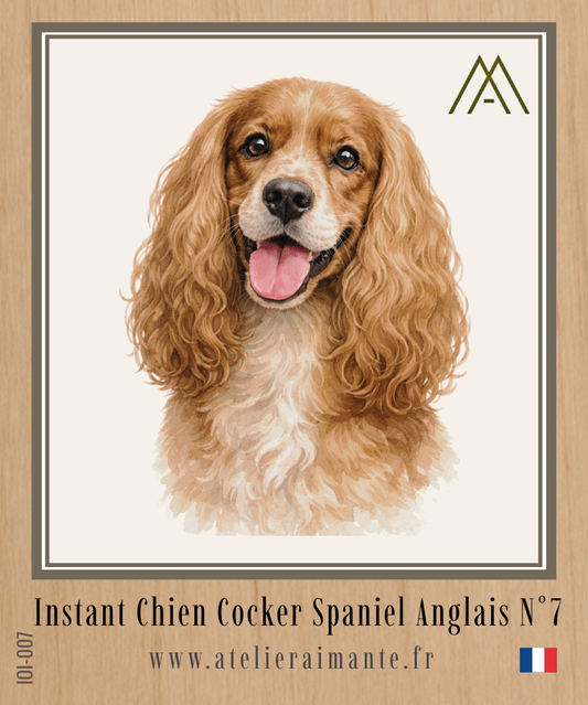 Cocker - Instant Chien - N°7