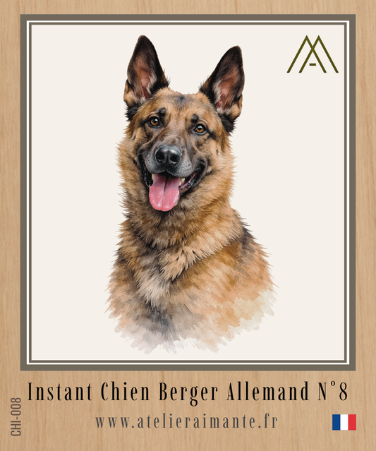 Berger Allemand - Instant Chien - N°8