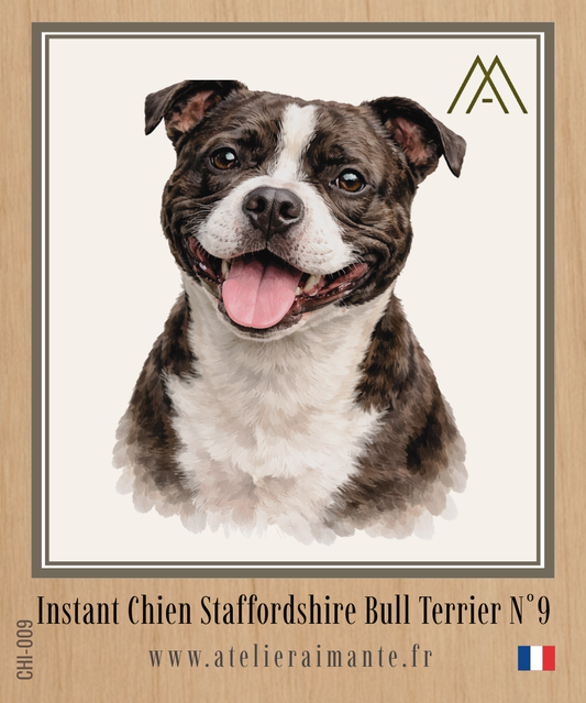 Staffie - Instant Chien - N°9