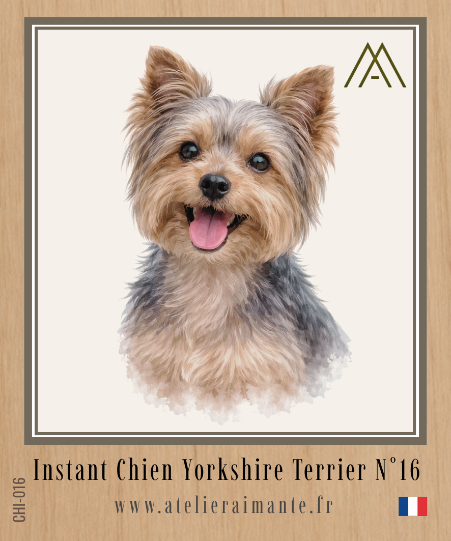 Yorkshire - Instant Chien - N°16