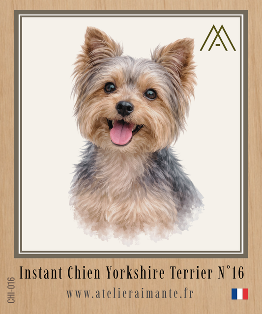 Yorkshire - Instant Chien - N°16