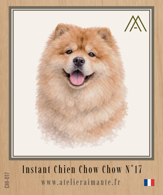 Chow Chow - Instant Chien - N°17