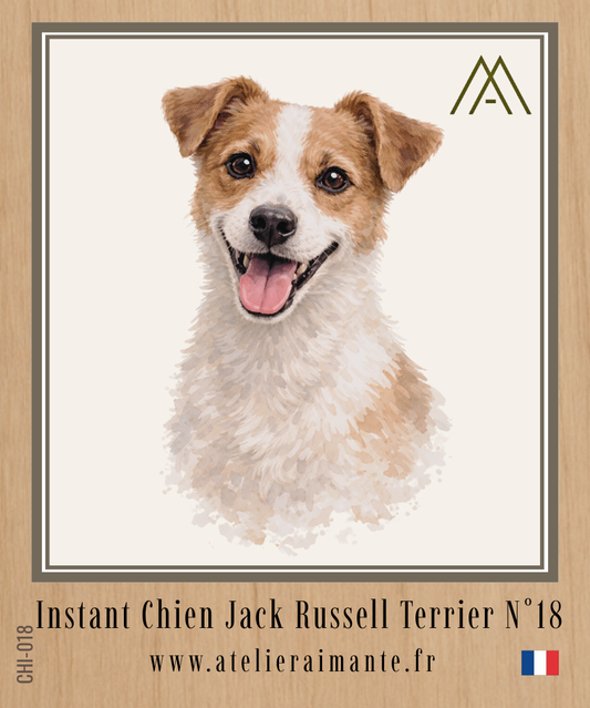 Jack Russell - Instant Chien - N°18