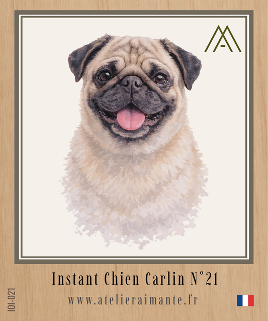 Carlin - Instant Chien - N°21