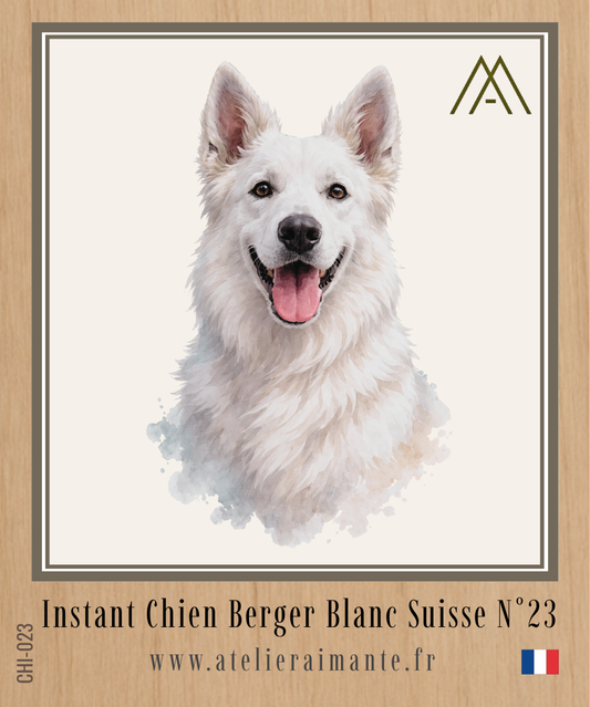 Berger Blanc Suisse - Instant Chien - N°23