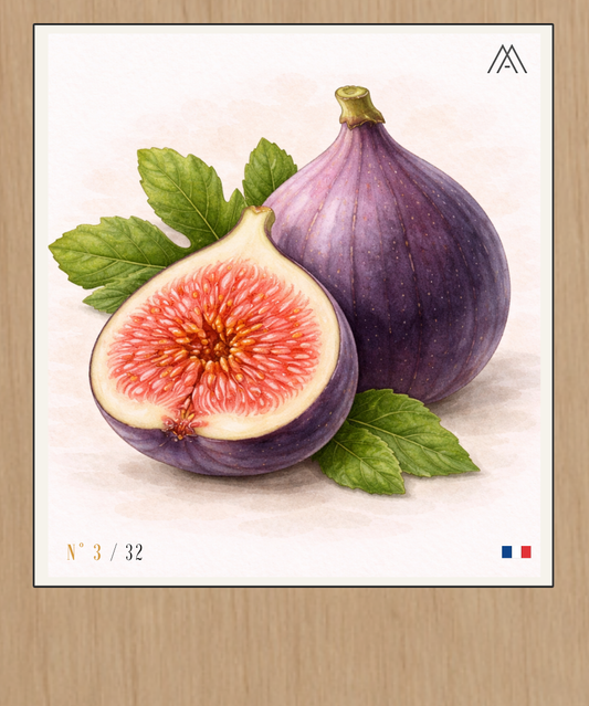 Figue - Instant Fruit - N° 3