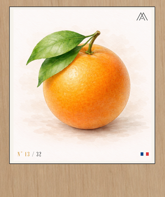 Orange - Instant Fruit - N° 13