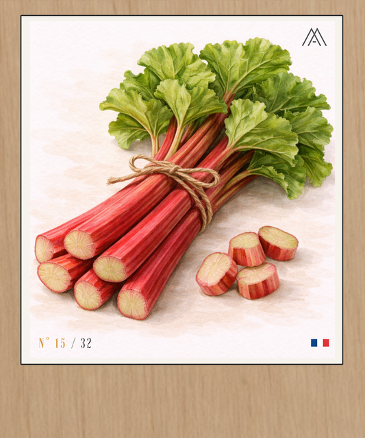 Rhubarbe - Instant Fruit - N° 15