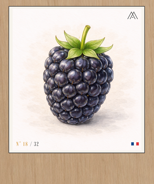Mûre - Instant Fruit - N° 18