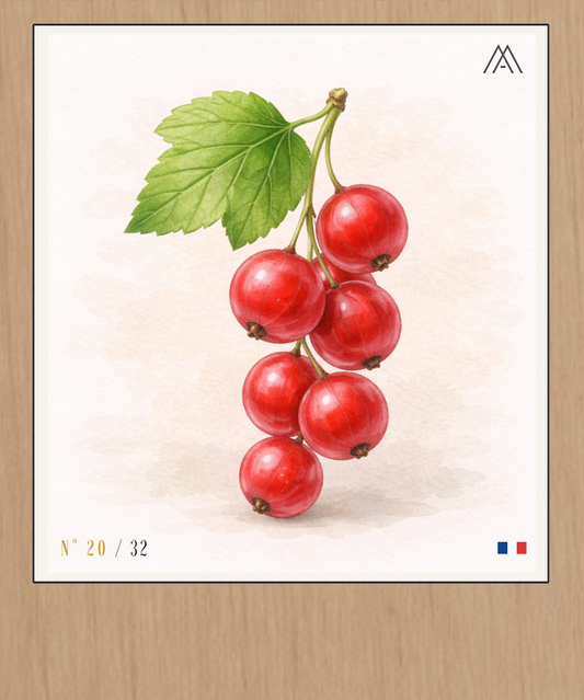 Groseille - Instant Fruit - N° 20