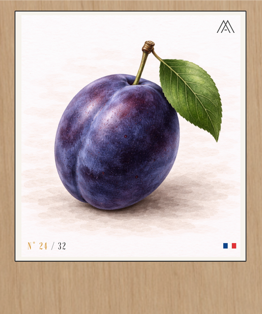 Prune - Instant Fruit - N° 24