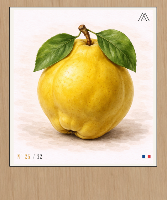 Coing - Instant Fruit - N° 25