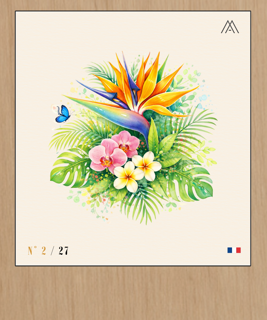 Fleur de Paradis - Instant Fleurs Tropicales - N°2
