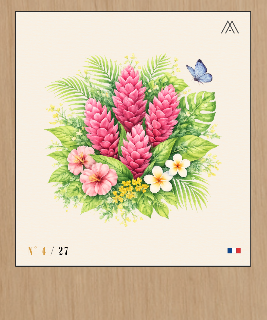 Gingembre Rose - Instant Fleurs Tropicales - N°4