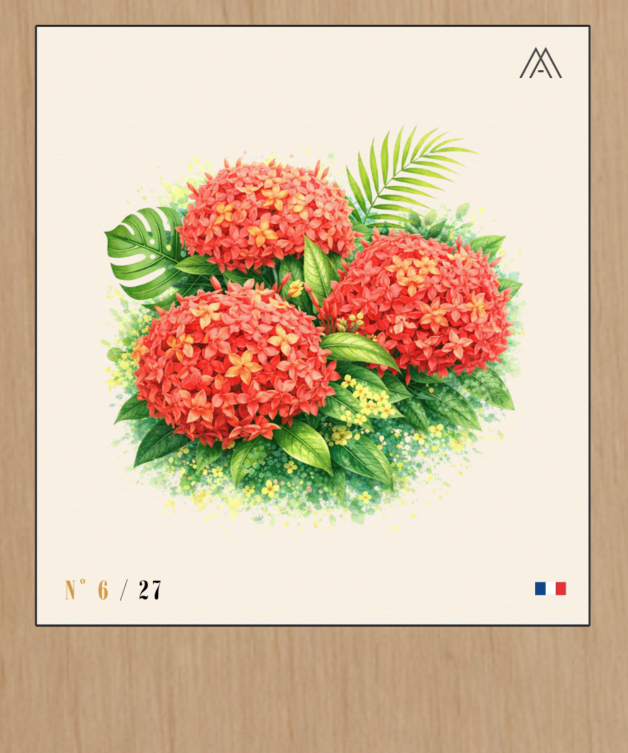 Jasmine Antillaise - Instant Fleurs Tropicales - N°6
