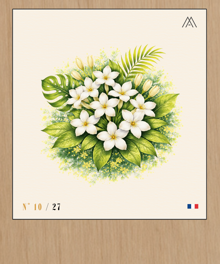 Jasmin de Madagascar - Instant Fleurs Tropicales - N°10