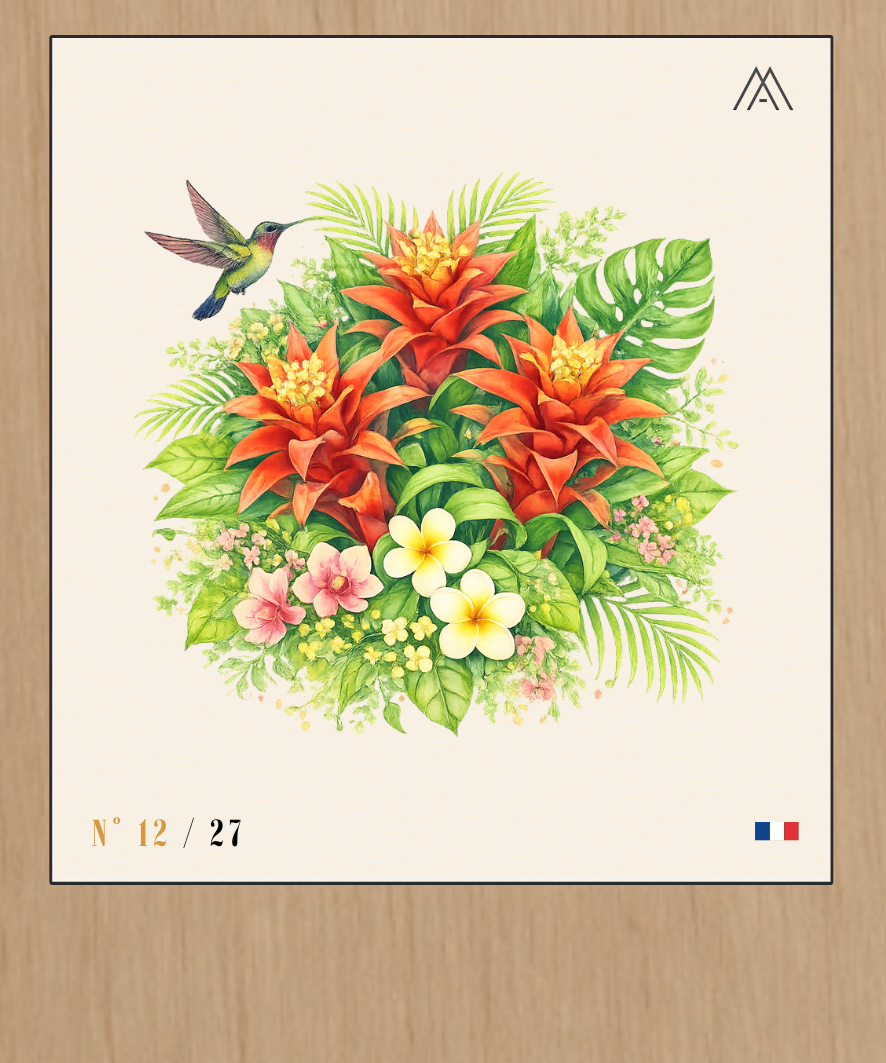Guzmania - Instant Fleurs Tropicales - N°12