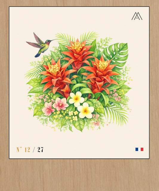 Guzmania - Instant Fleurs Tropicales - N°12