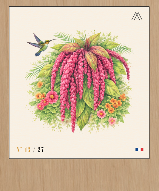 Fleur d'Amarante - Instant Fleurs Tropicales - N°13