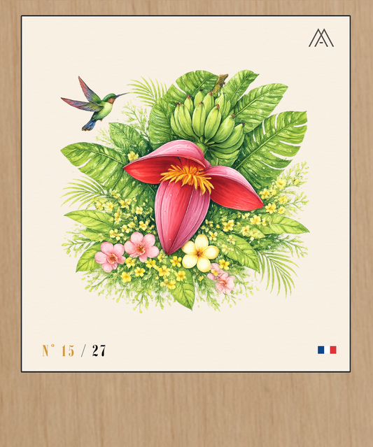 Fleur de Bananier - Instant Fleurs Tropicales - N°15