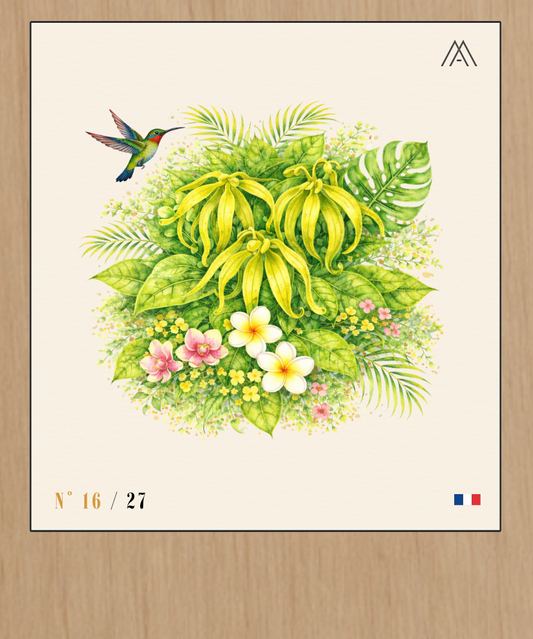 Ylang-Ylang - Instant Fleurs Tropicales - N°16