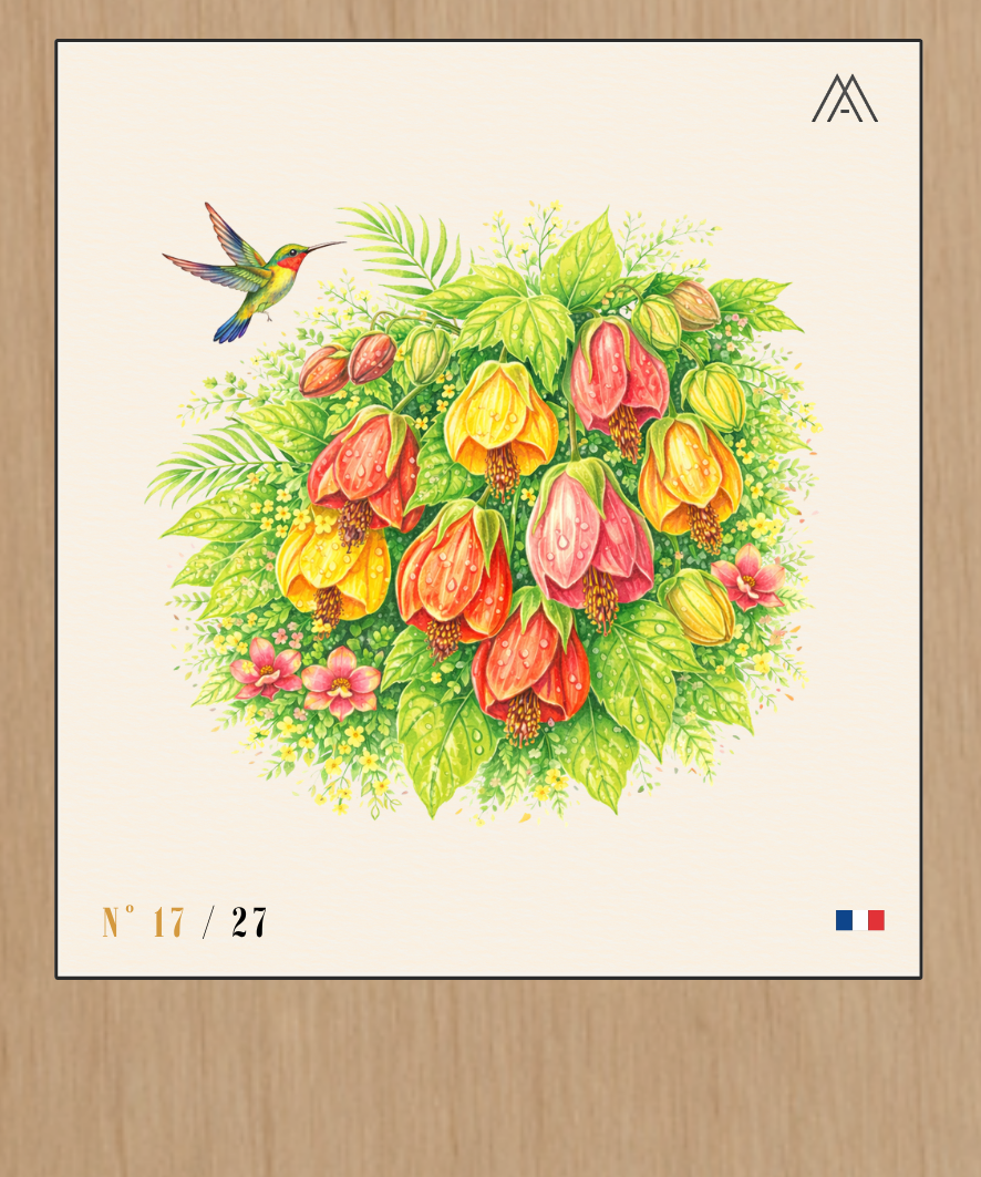 Abutilon - Instant Fleurs Tropicales - N°17