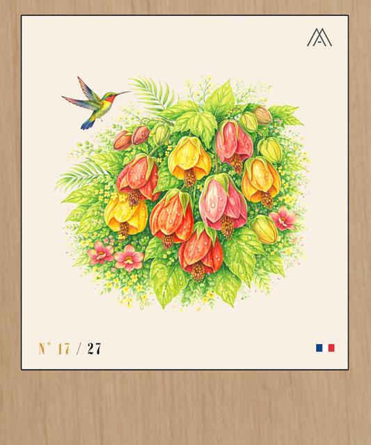 Abutilon - Instant Fleurs Tropicales - N°17