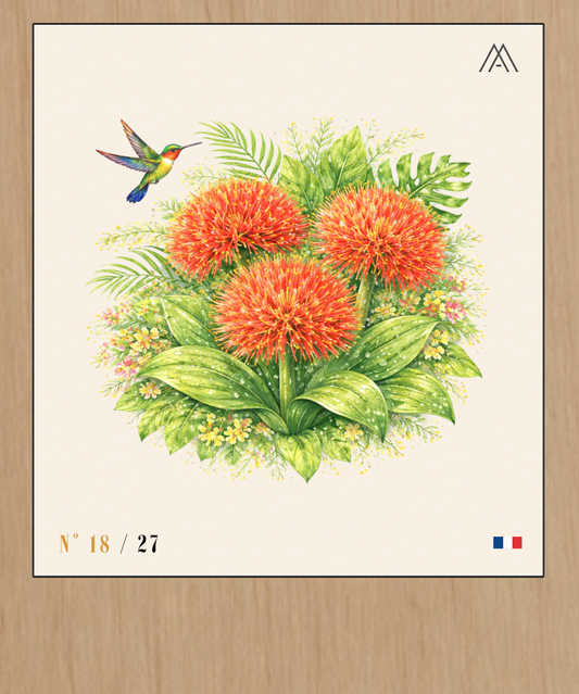 Lys du Sang - Instant Fleurs Tropicales - N°18